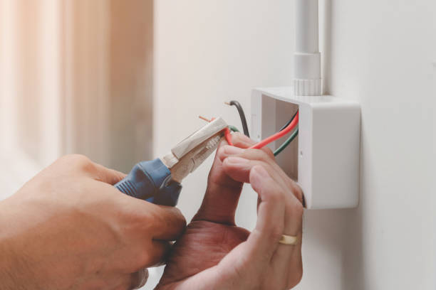 Best Surge Protection Installation  in Flat Rock, NC